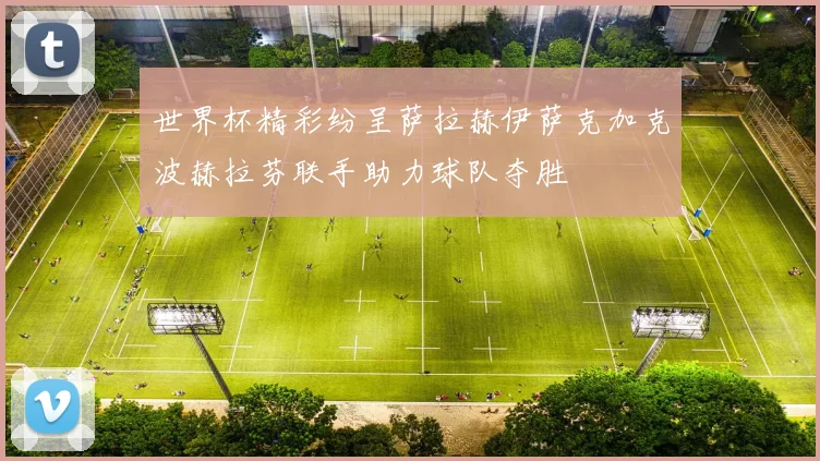 世界杯精彩纷呈萨拉赫伊萨克加克波赫拉芬联手助力球队夺胜
