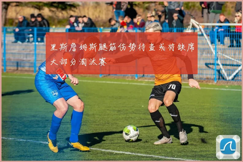 里斯詹姆斯腿筋伤势待查或将缺席大部分淘汰赛